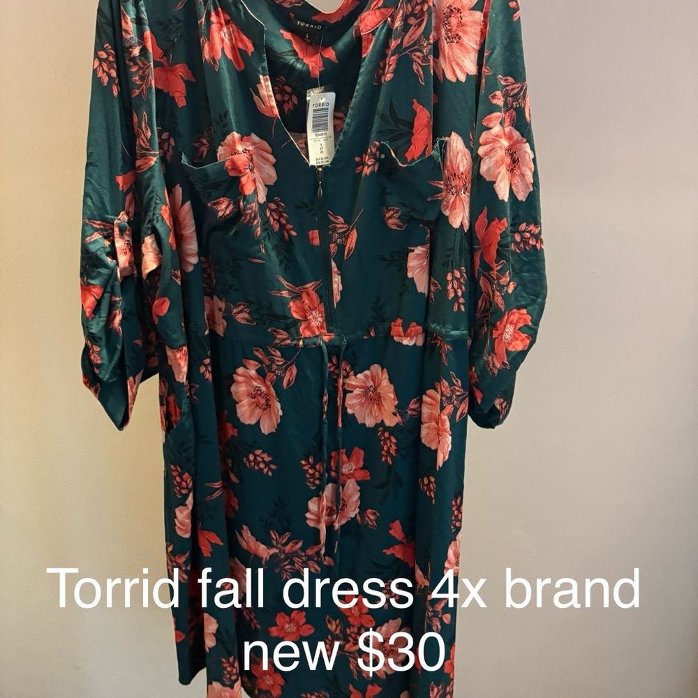 Torrid Floral Long Sleeve Dress - Green and Pink